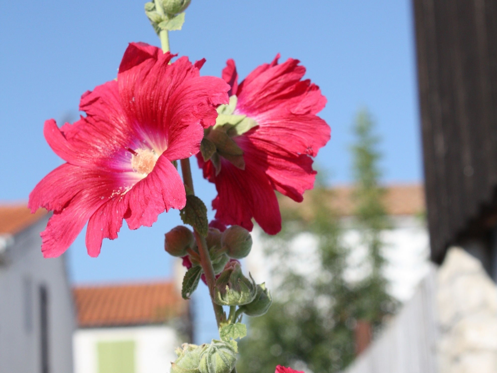 Village de la Boirie