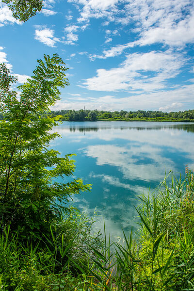 Portrait Marais de l'île vieille