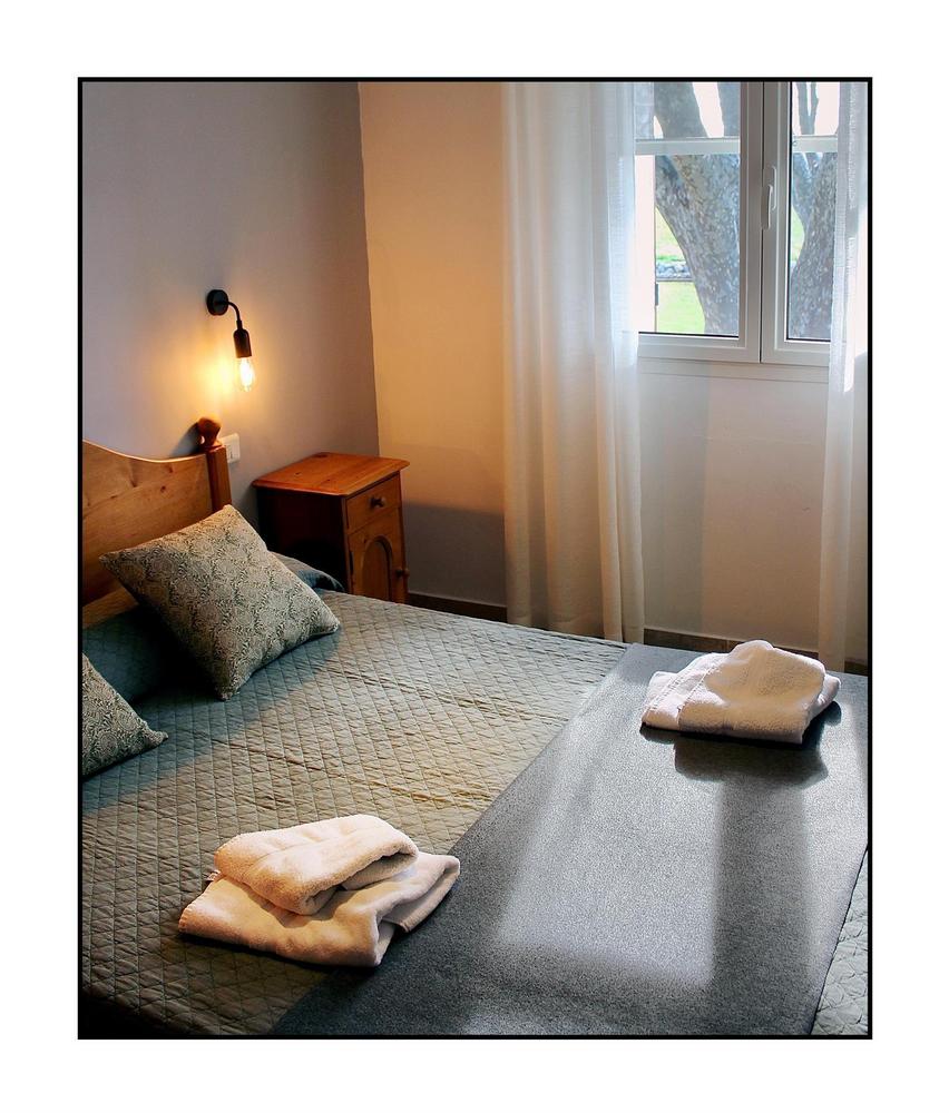 Lavande, Fontvieille - photo 19