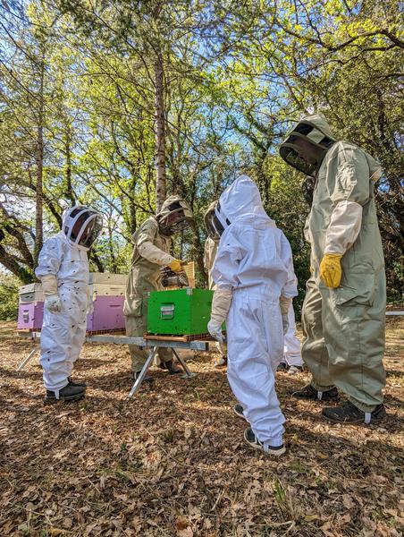 Manipulez l'enfumoir !