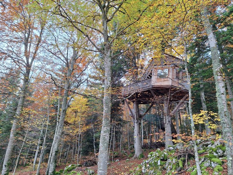 Nuits de cimes - La cabane du grand bois_Château-Bernard
