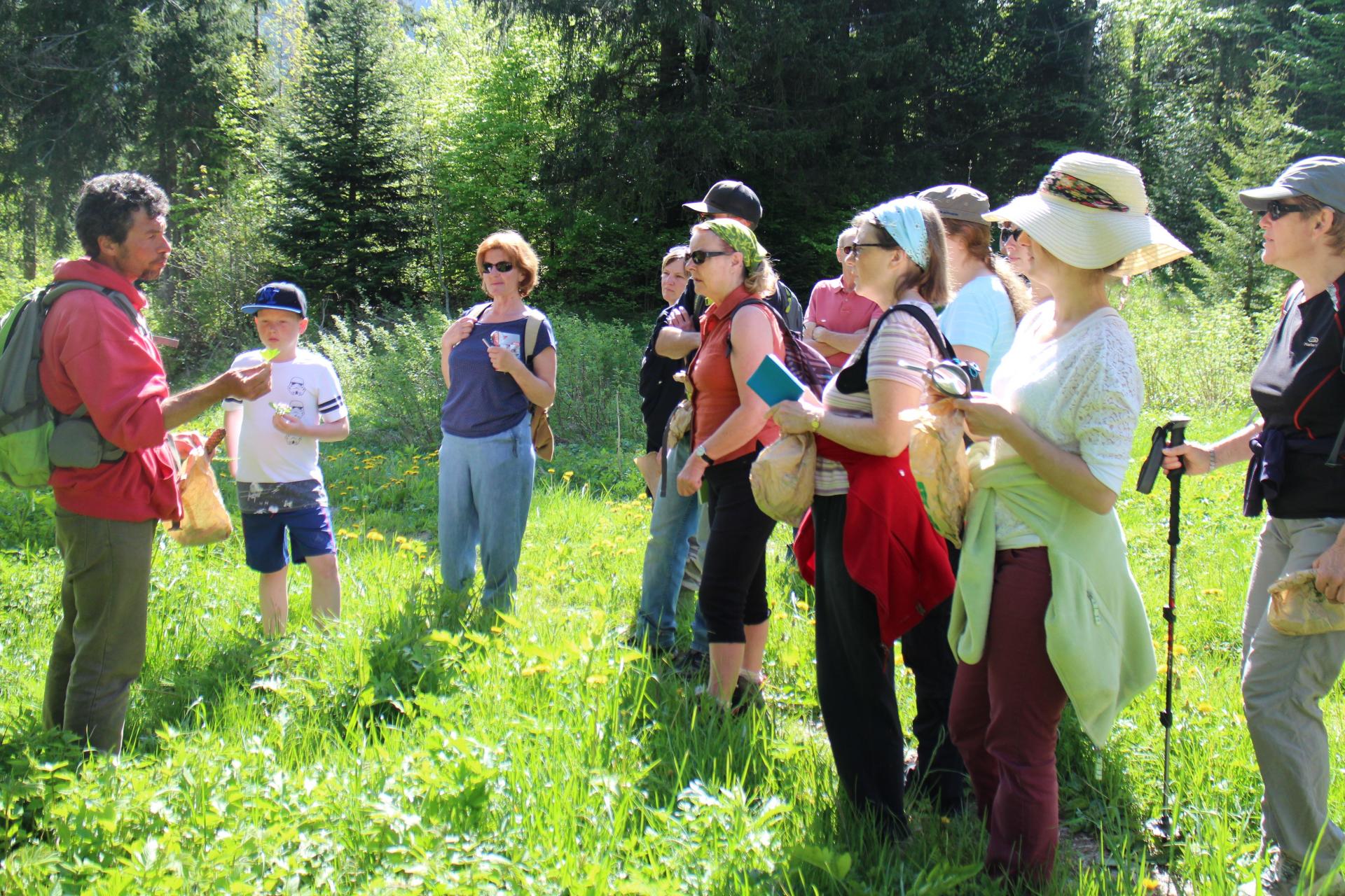 Découverte des plantes de montagne
