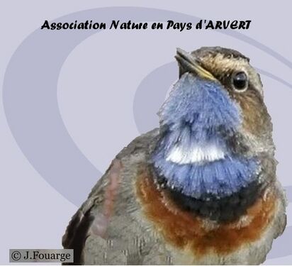 Nat'vert - Nature en pays d'Arvert