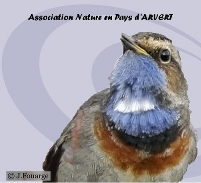 Nat'vert - Nature en pays d'Arvert