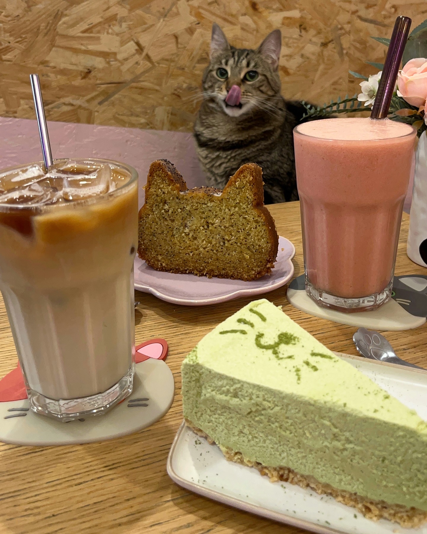 Meow Cats Café — photo 3