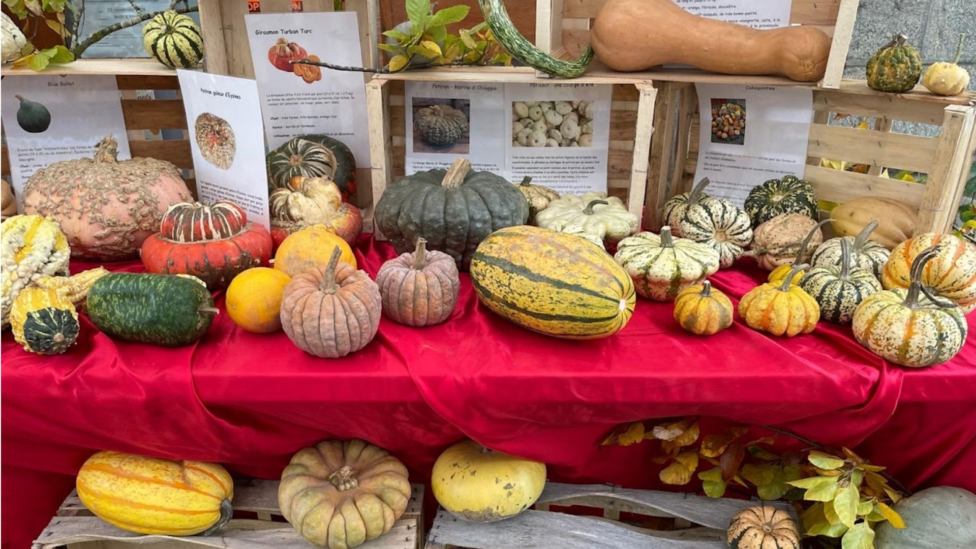 Fête de la courge - L'Automnal gourmand/Fête de la Science