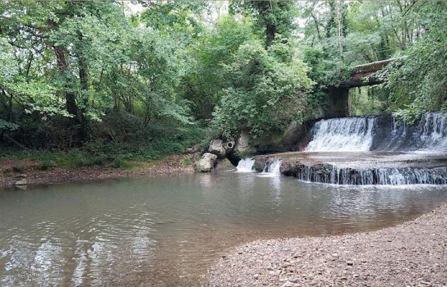 Ouverture de la pêche à la truite avec la Gaule Sereine_Montluel