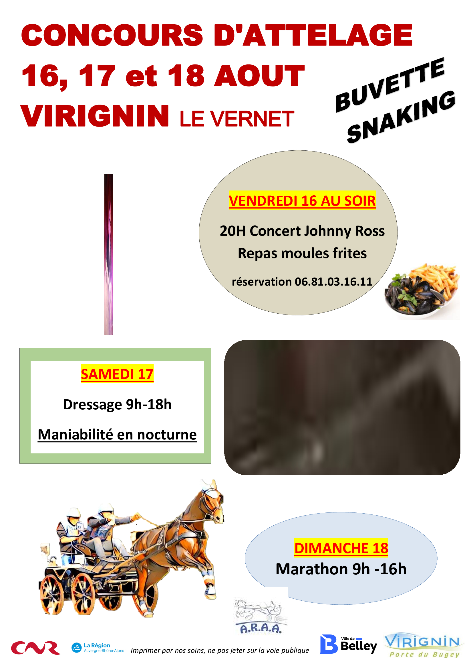 Concours d'attelage à Virignin