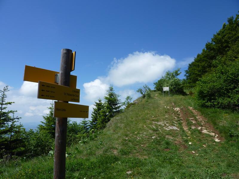 Crête du Mont Grêle