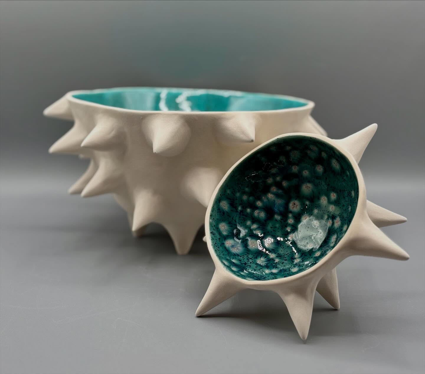 Terre Décalée - Patricia Cohen