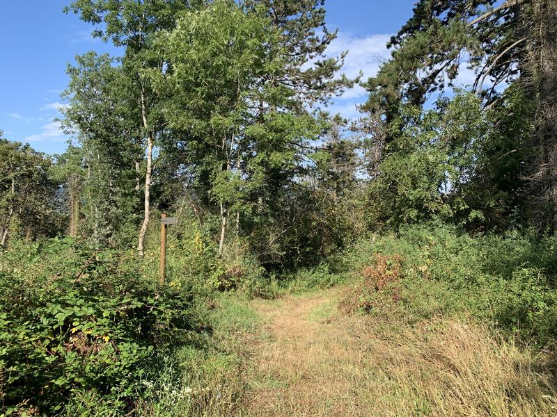 Randonnée - A la romaine