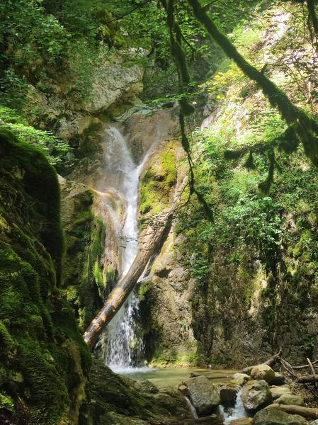 Randonnée pédestre : La Grande Marche Populaire de Gex_Gex