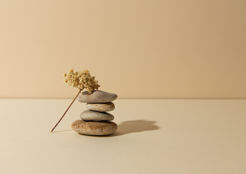 Atelier Yoga & SPA - Villa Soleia_Tournon-sur-Rhône