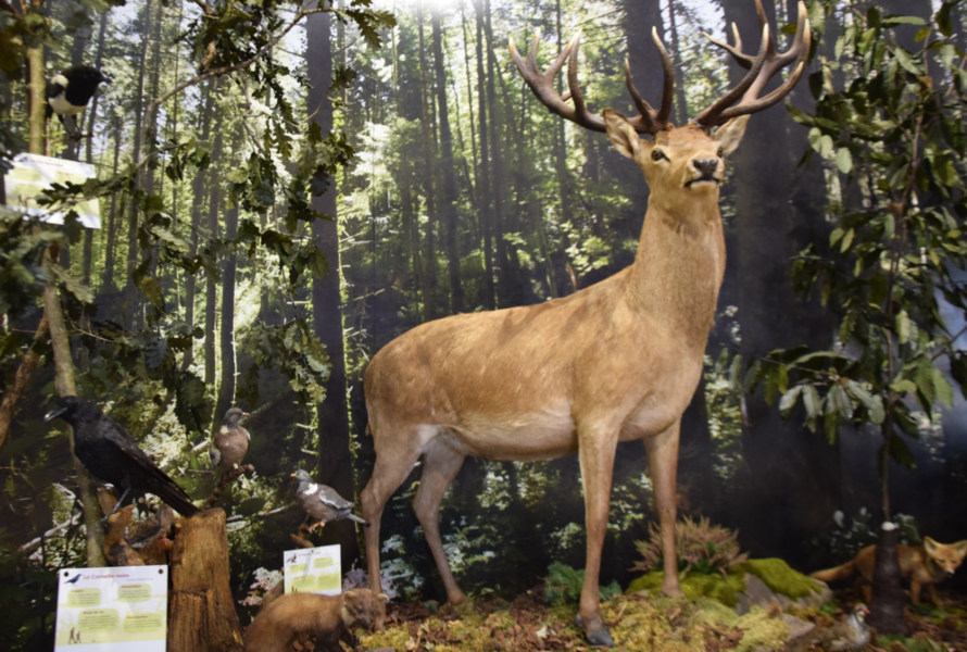 espace biodiversité st pierre de trivisy