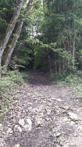 Sentier d ela Montagne des princes