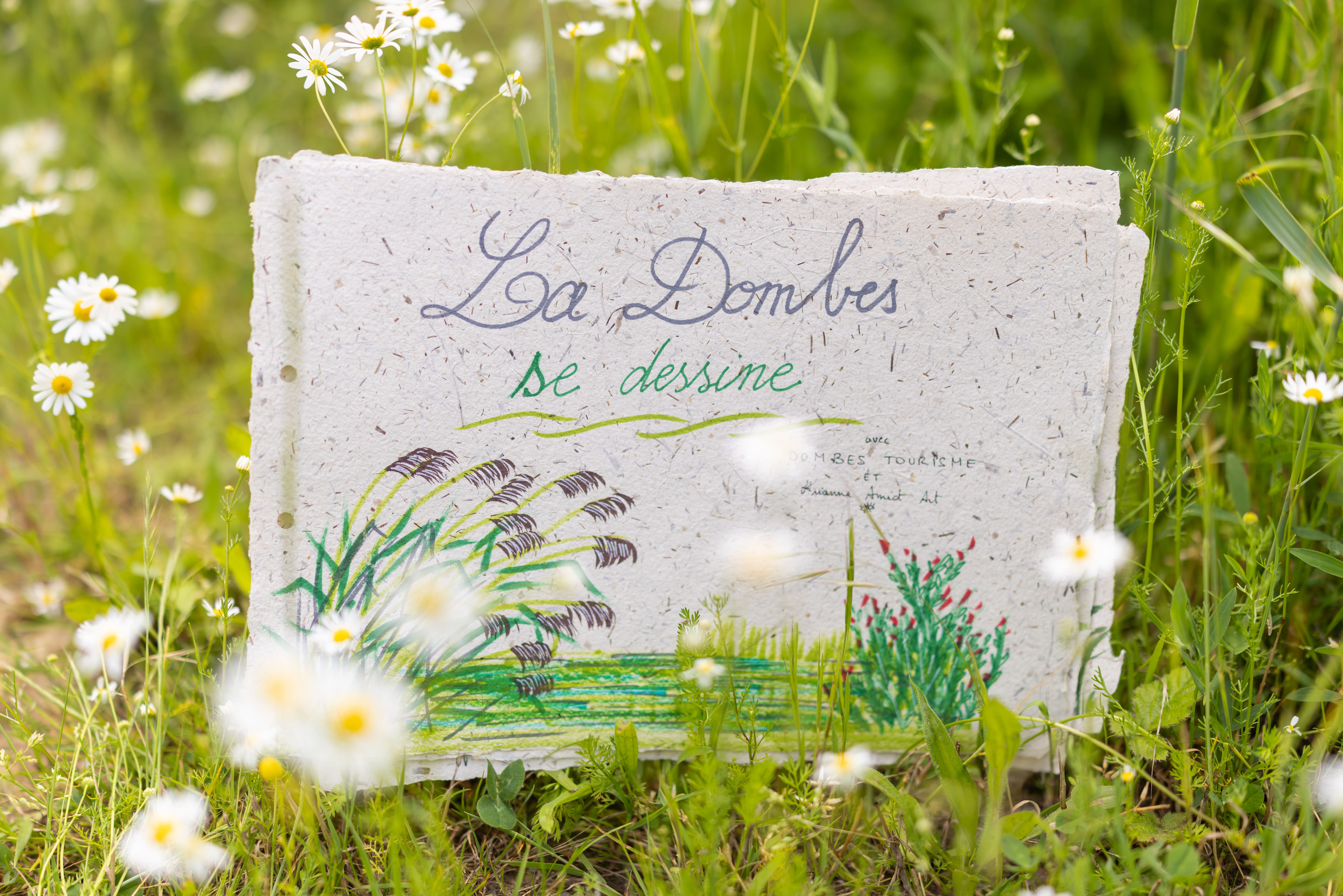 La Dombes se dessine à Prêle