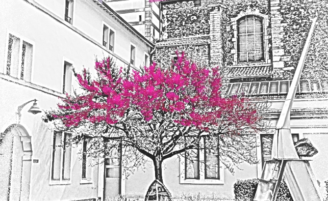 Collège ponsard
