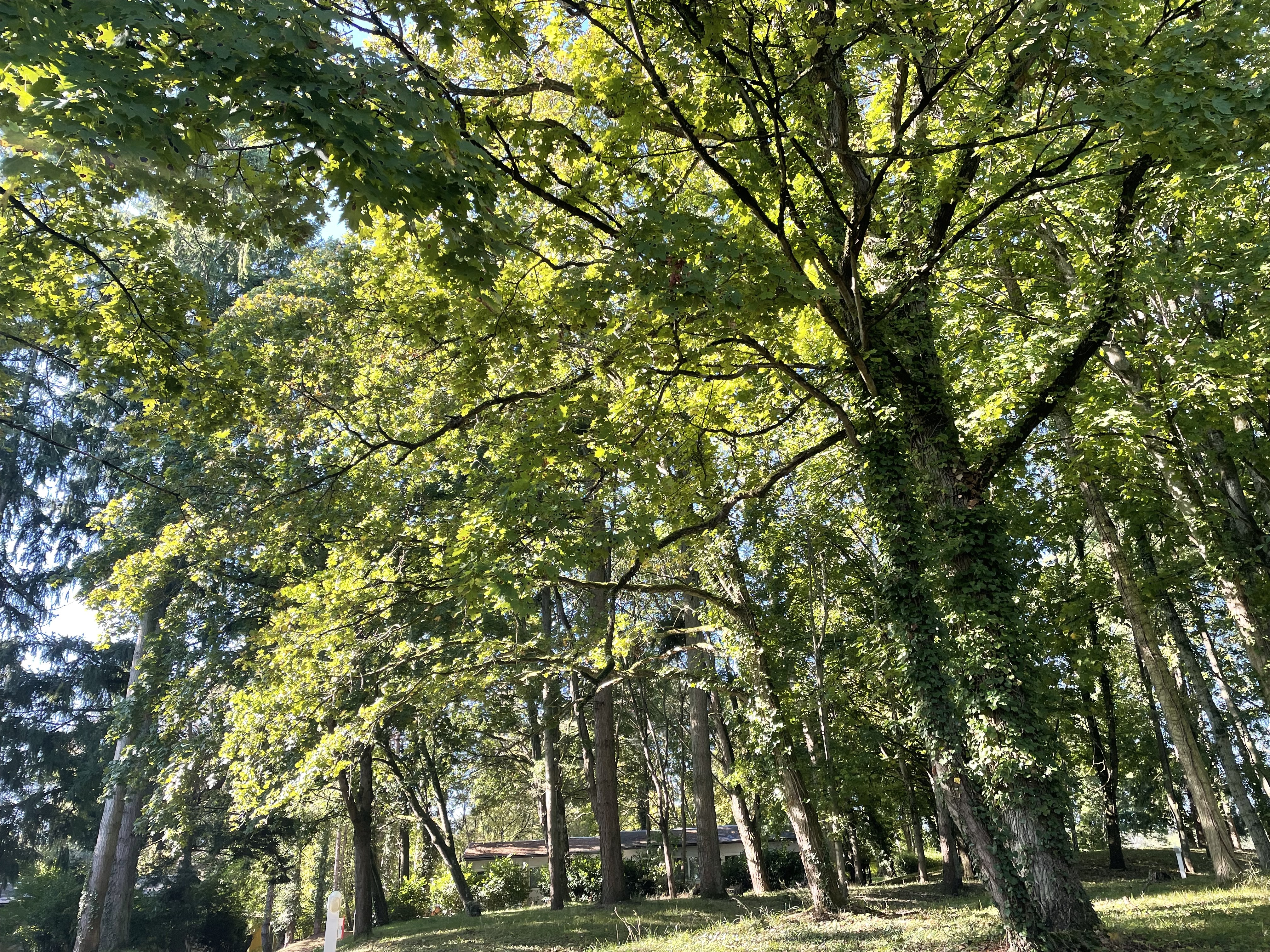 Domaine du Normont
