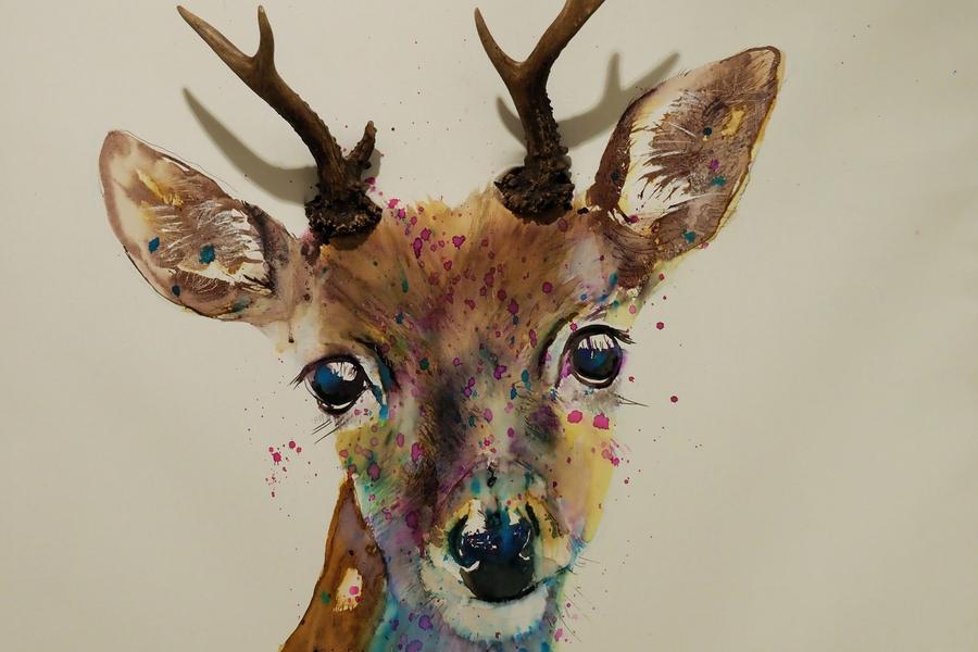 Exposition peinture "Animaux" de MCB
