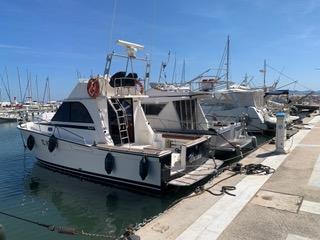 Cap au large – observation des cétacés à bord du Noiram_La Londe-les-Maures