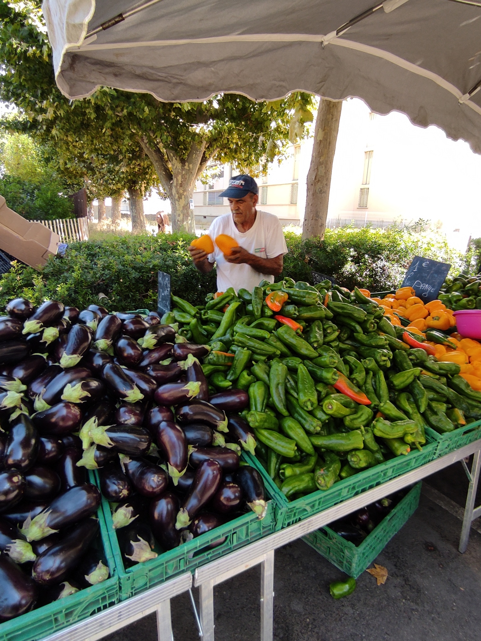 Marchés hebdomadaires, Marignane - photo 3