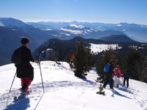 Groupe avec vue