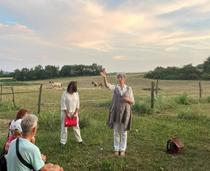Balade contée et guidée sur les traces des Templiers de Tirieu à Courtenay_Cour…