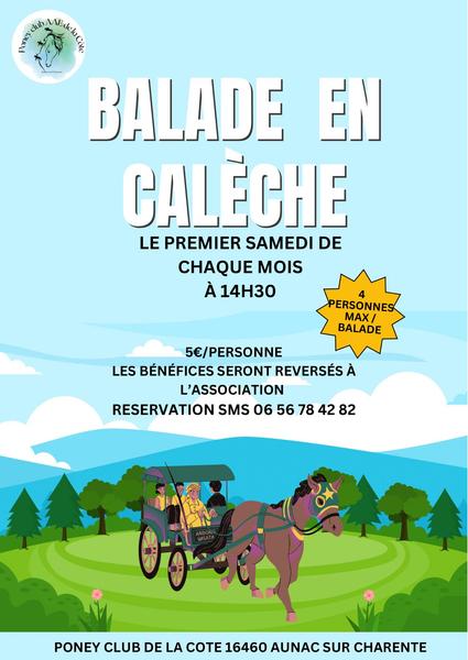 Balade en calèche