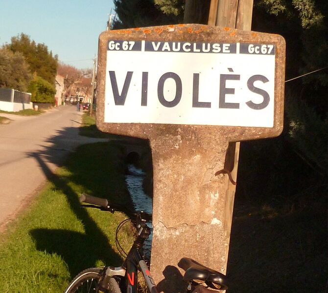 Violès