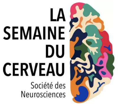 La semaine du cerveau - Saint-Aubin