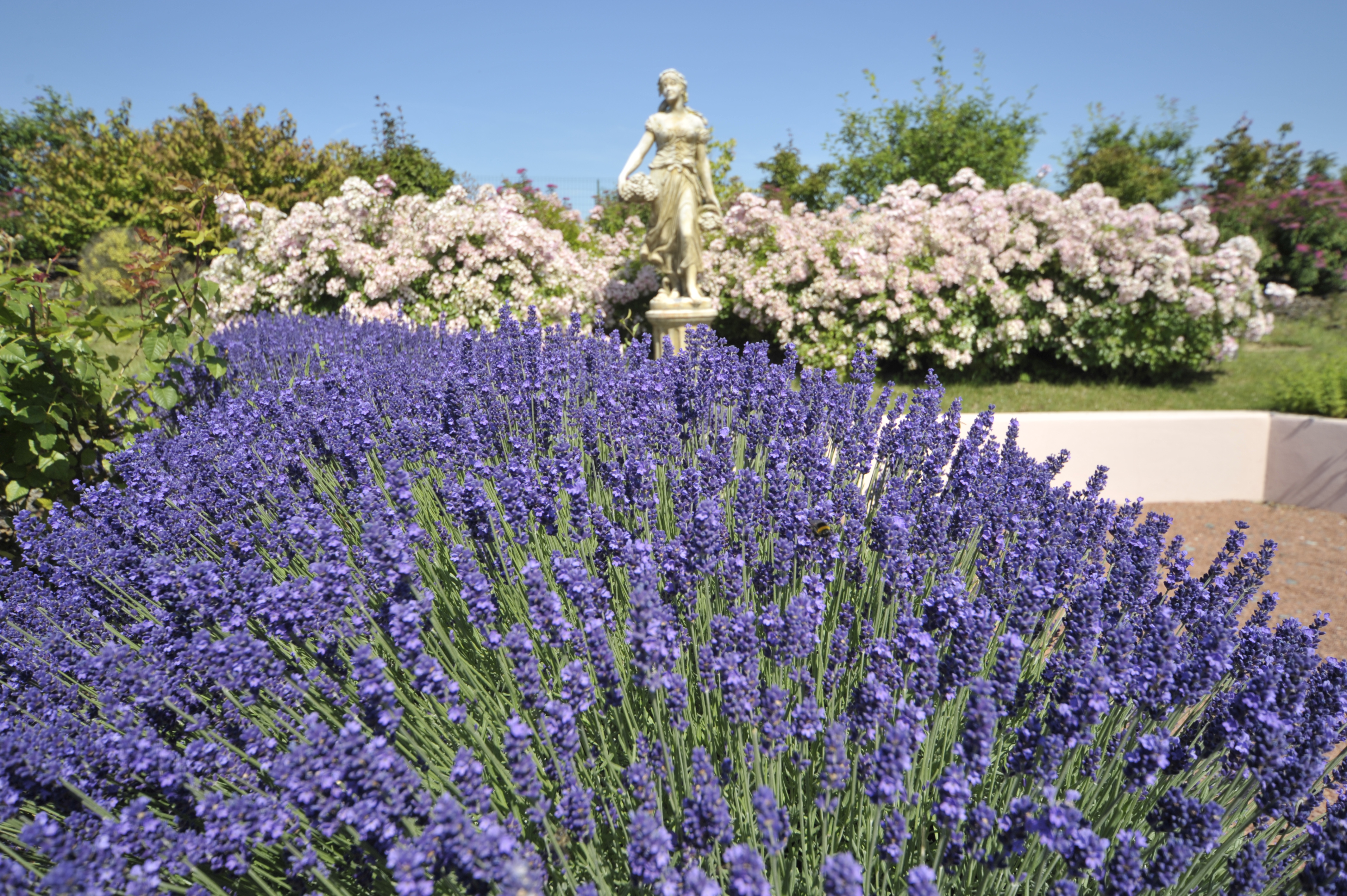 les jardins arômatiques