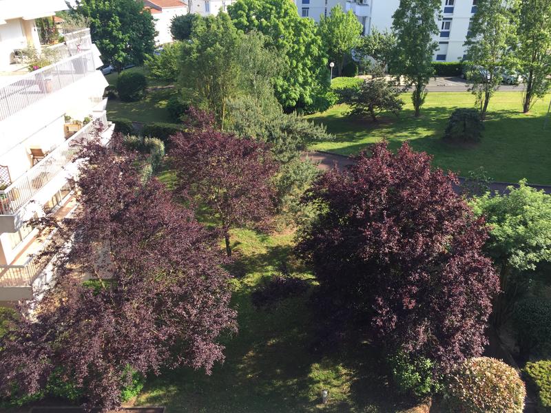 Vue sur les espaces arborés, au pieds de la résidence.