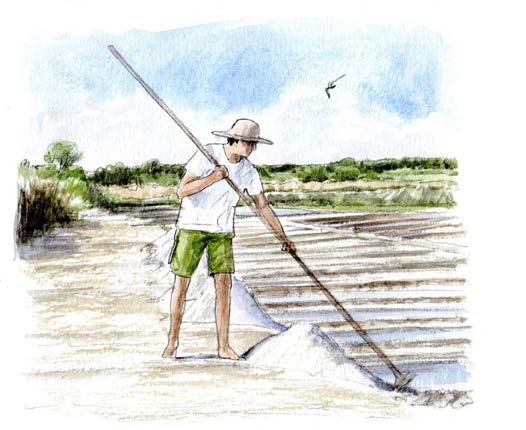 Exposition des croquis naturalistes de Benoit Perrotin