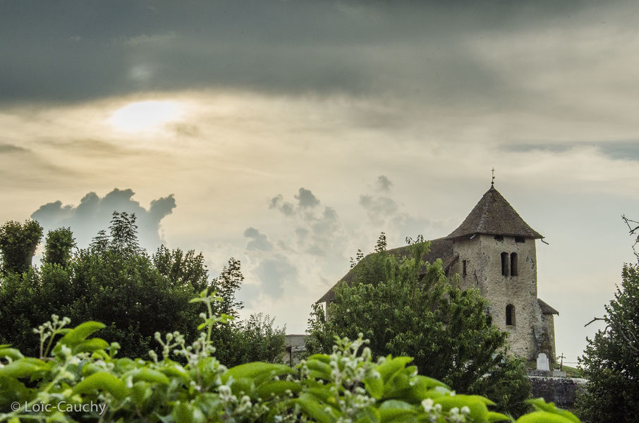 Balade en calèches en CAPI