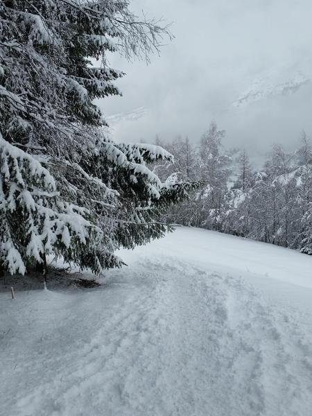 Itinéraire de raquette 