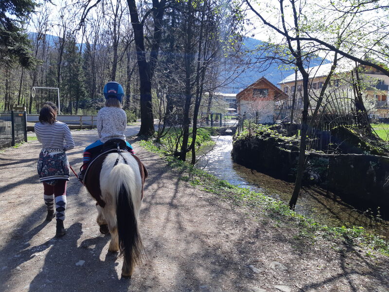 Tours de poneys à Thônes