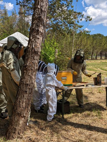 Découvrez le matériel d'apiculteur !