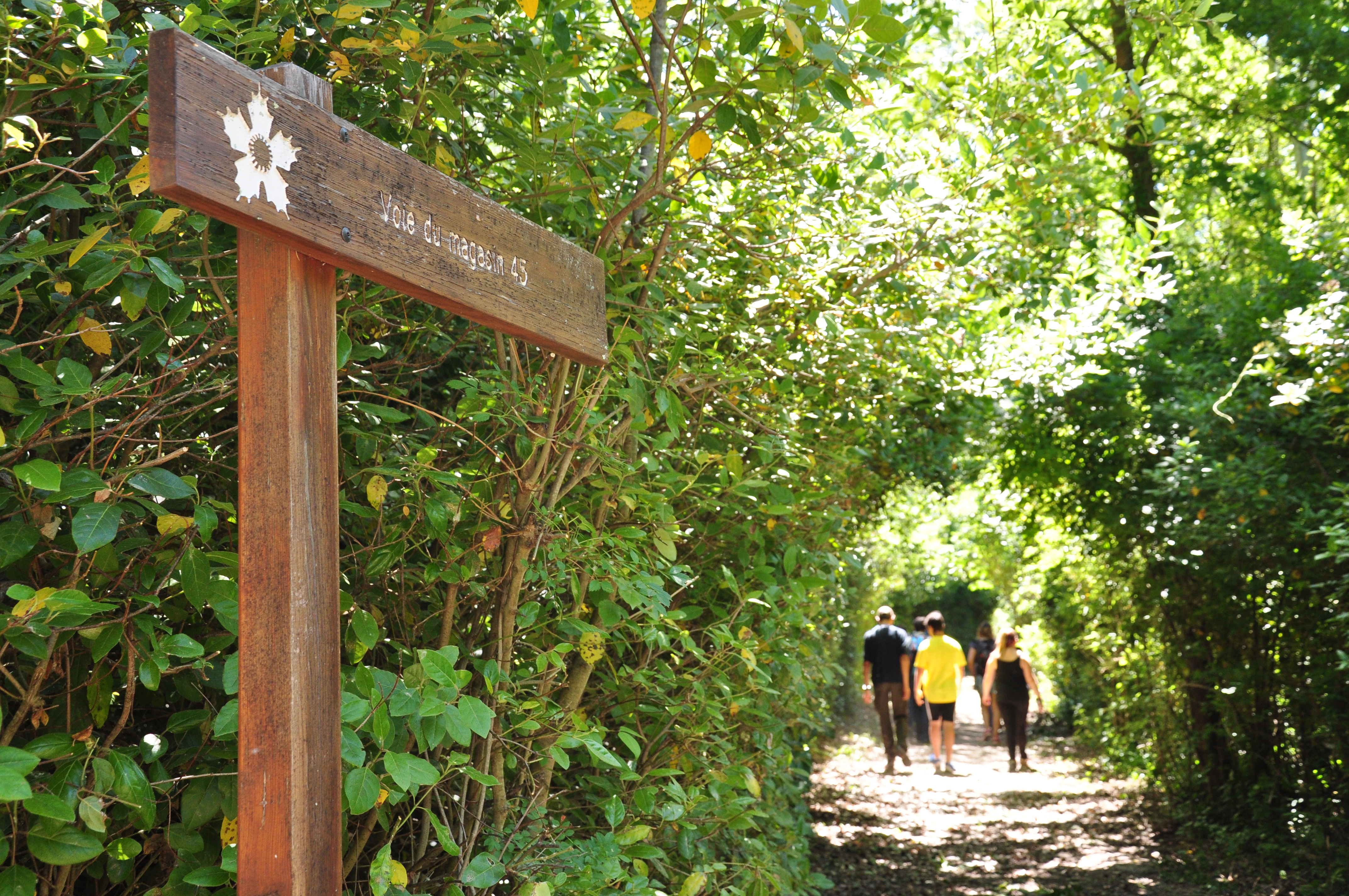 Parc de la Poudrerie Royale de Saint-Chamas et Miramas, Miramas - photo 4