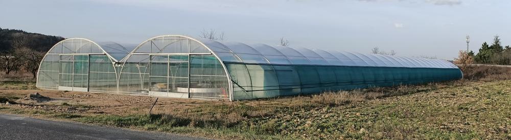 Spiraline : production de spiruline