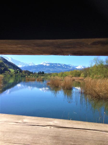 Lac de planche à voile des Ilettes