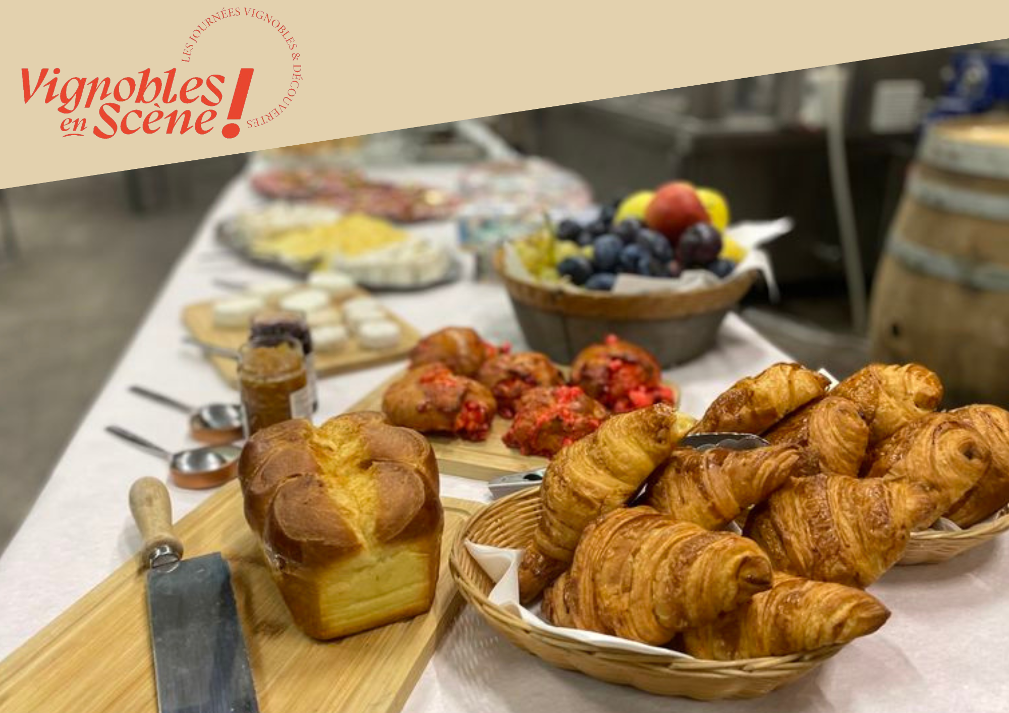 Brunch Vigneron au Domaine Anthony Paret_Saint-Pierre-de-Boeuf