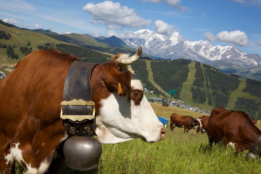 sentier-ludo-educatif-les-saisies