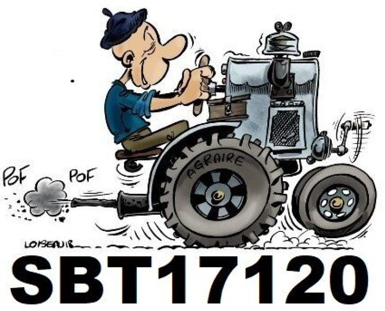 Association Sauvegarder et Bien Transmettre SBT17120