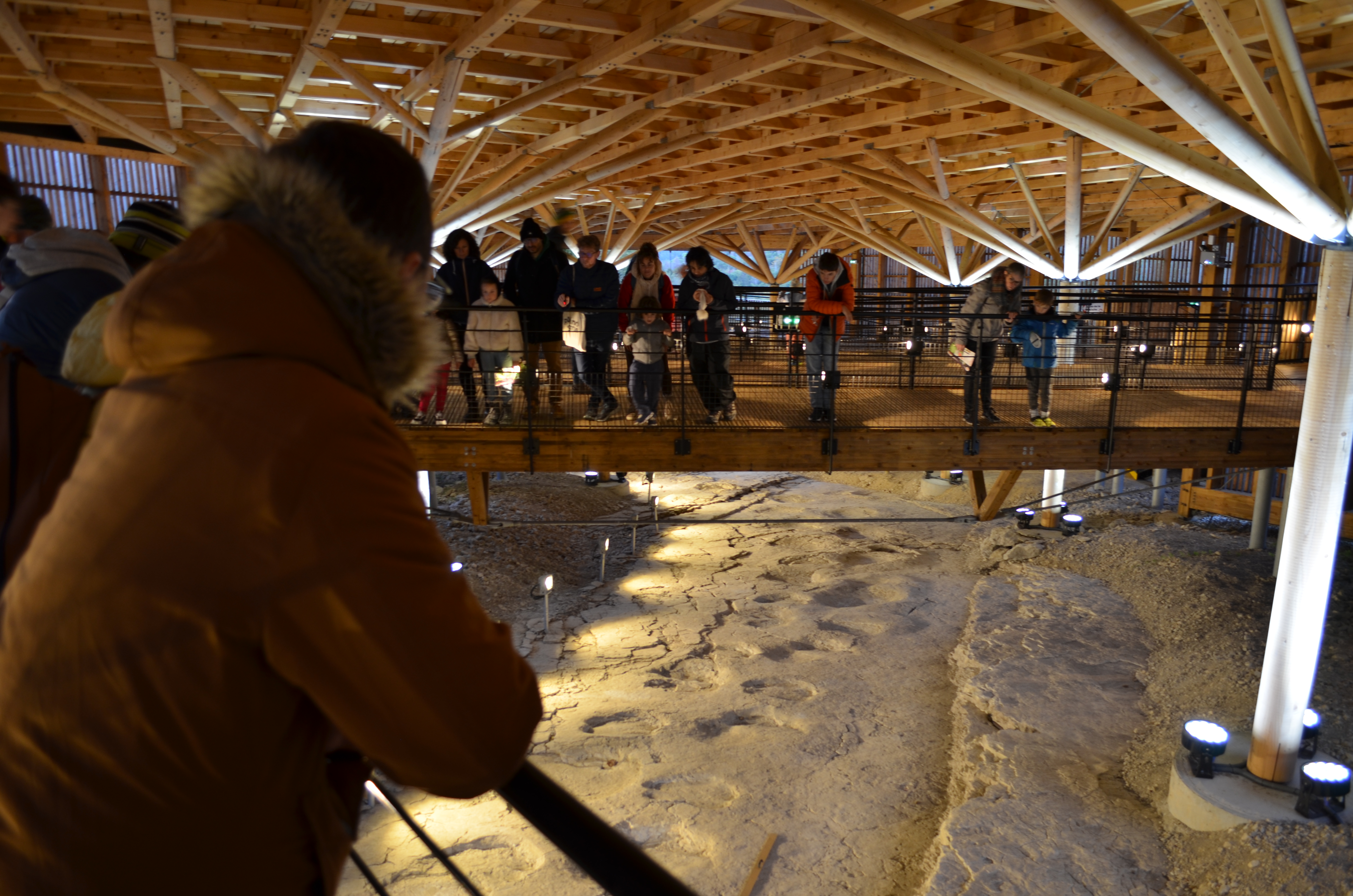 Soirée spéciale "Nature & Empreintes" à Dinoplagne_Plagne