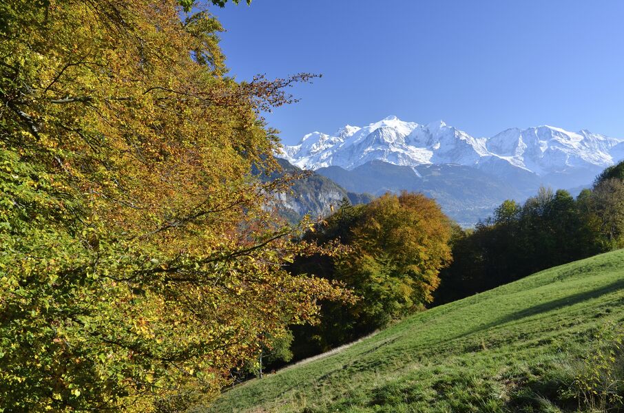 sentier pédestre : balade au Bois de Fessy