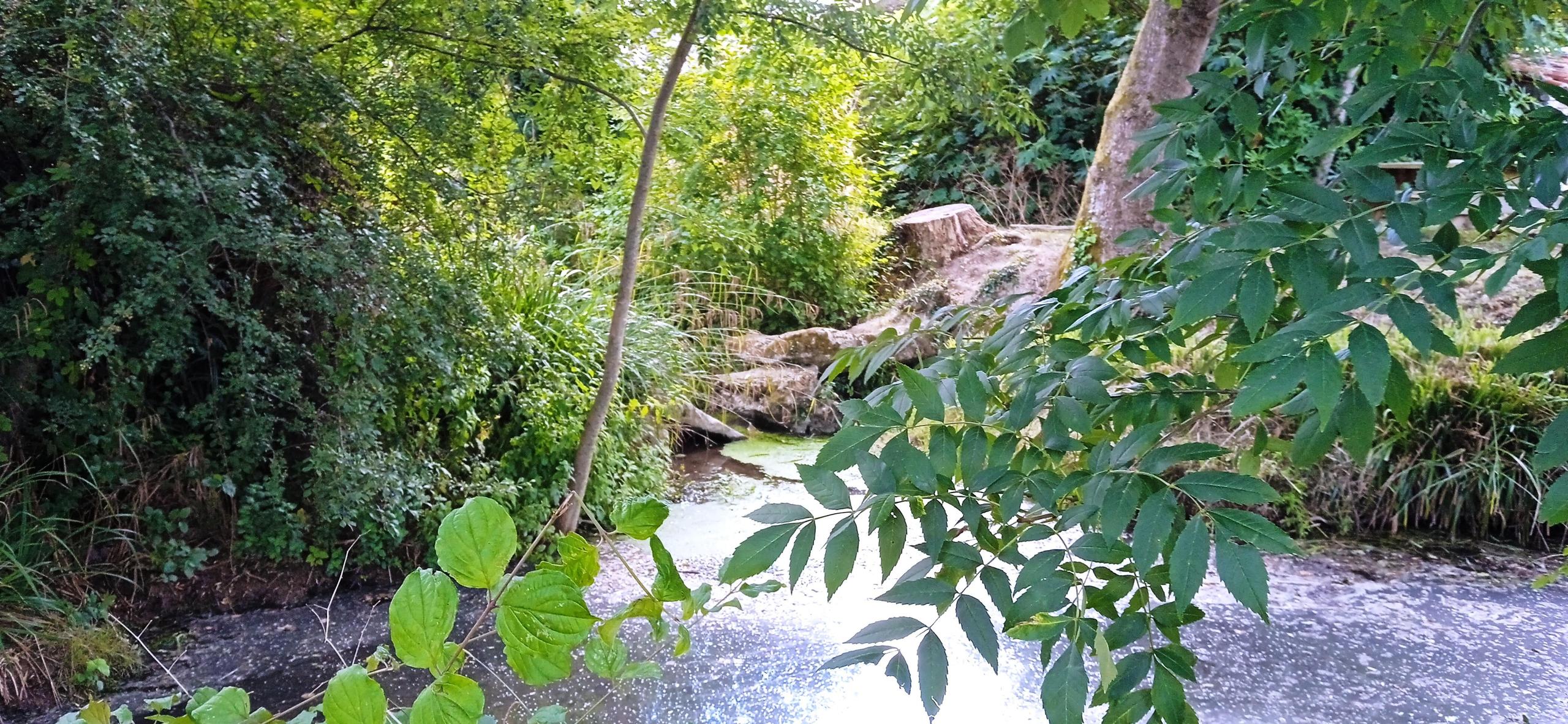 Le pont de Pierre de Marnay