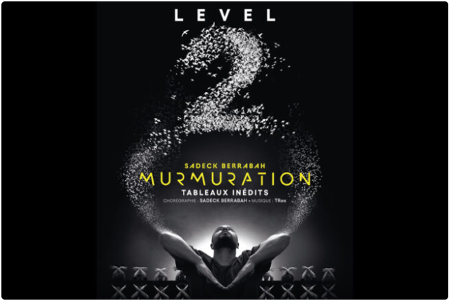 Murmuration Level 2 – Sadeck Berrabah