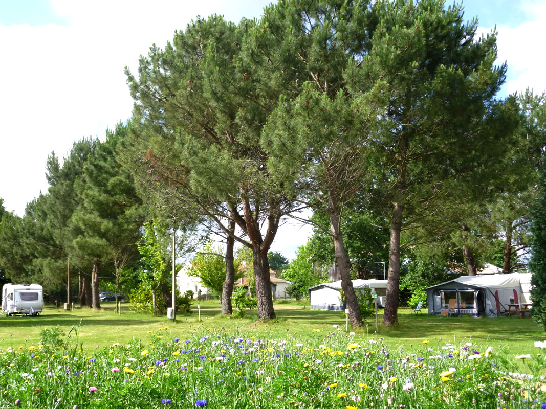 Aire Naturelle de Camping la Prairie