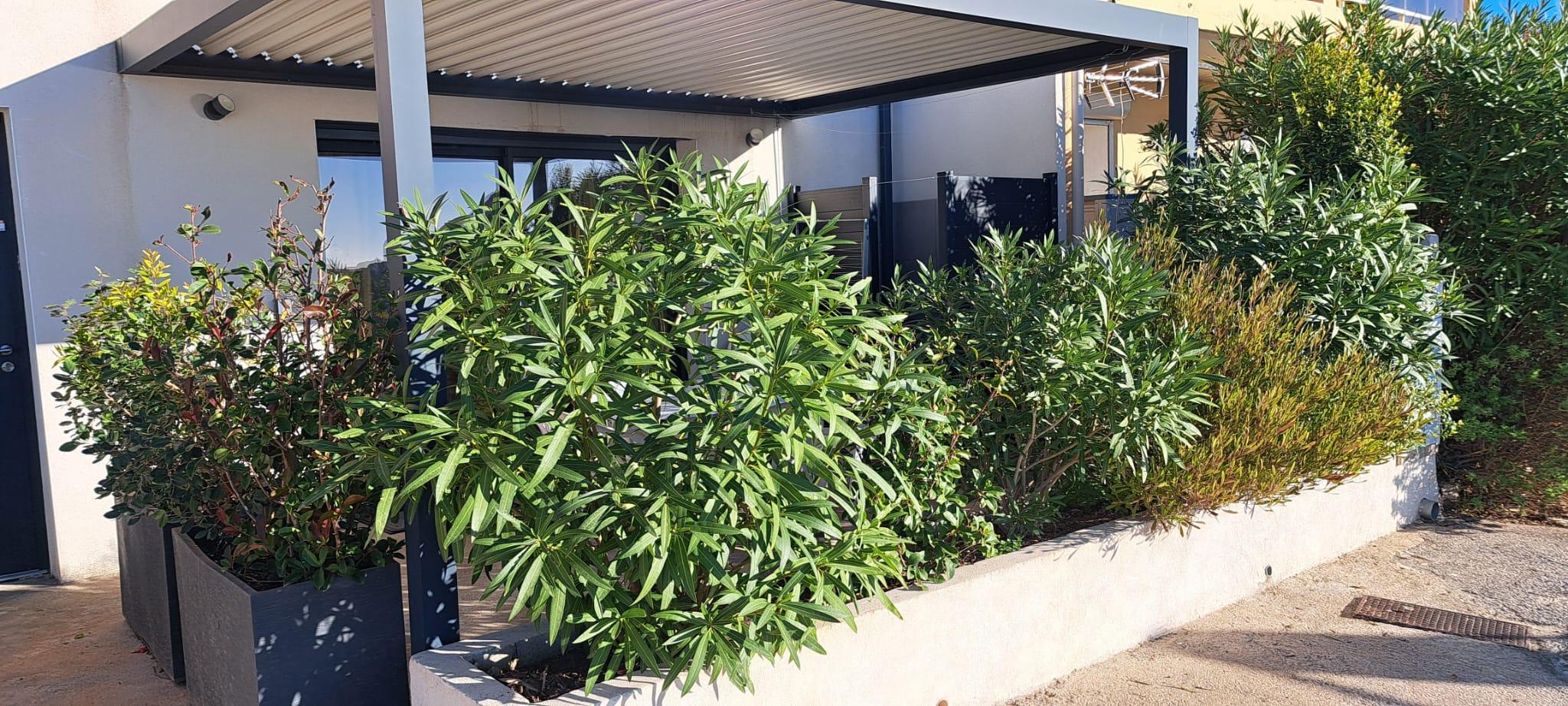 La Côte Bleue, Martigues - photo 7