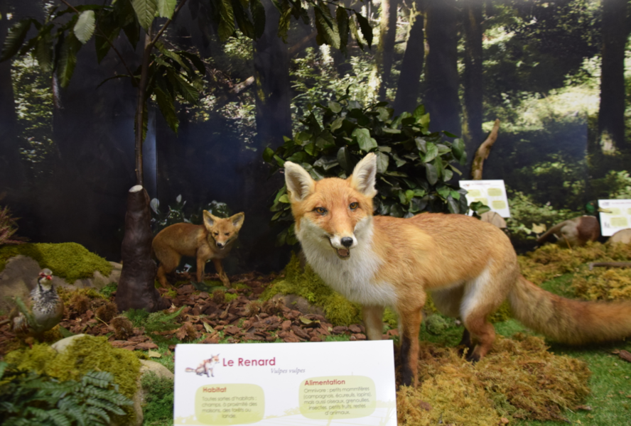espace biodiversité st pierre de trivisy